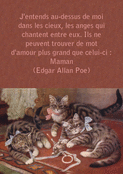 Trois chatons espi&egrave;gles pour maman